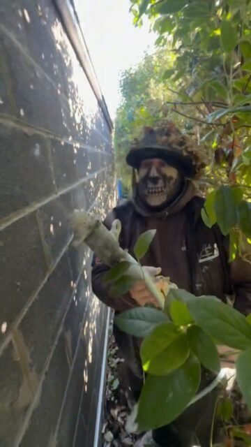 Treatment room completed with white thin coat system in Frampton ✅

#plaster #bristol #art #bath #render