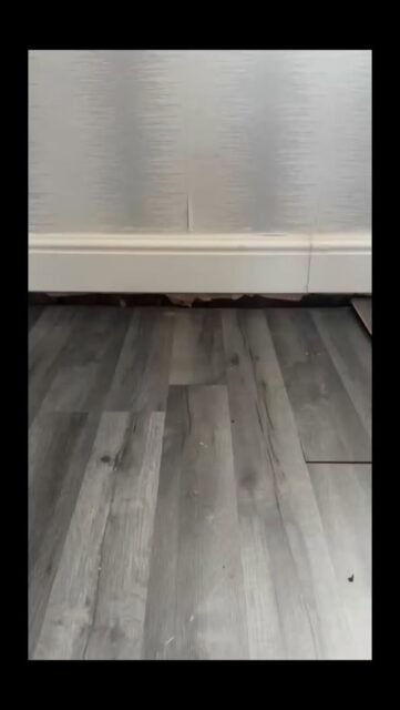 🧪🧫🦠 StRaNgEr FlOoRs 🦠🧫🧪

Refurb on this living room, the floor being the star of the show looking like something out of stranger things 🦠

#bristol #plaster #render #restoration #plastering